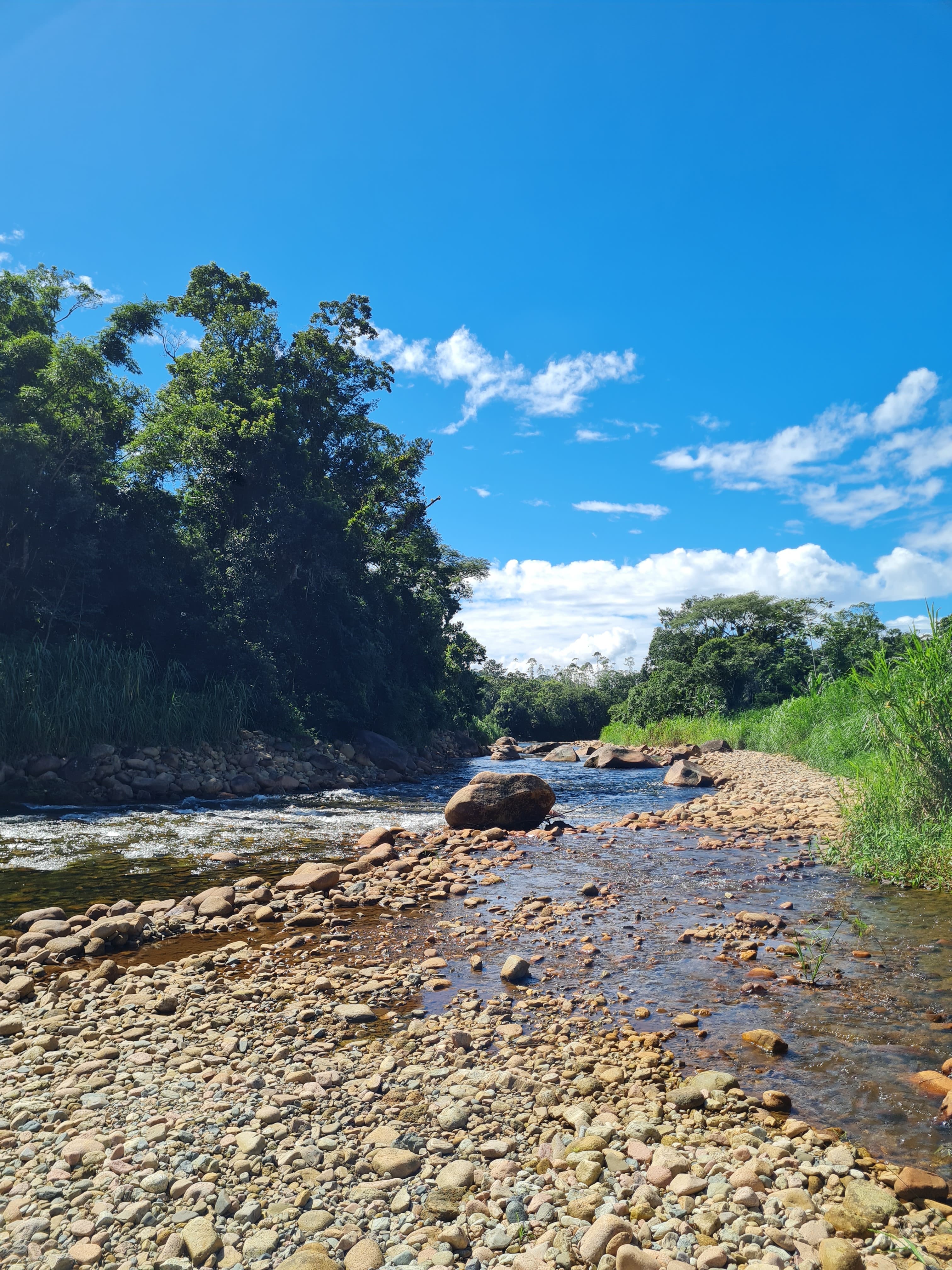 Camping Garuva — foto 4